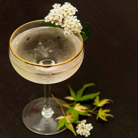 Elderflower Syrup